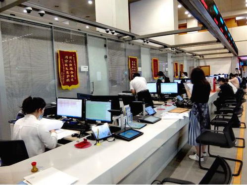 科技賦能，服務百姓——北京順義區(qū)創(chuàng)新技術服務模式探秘